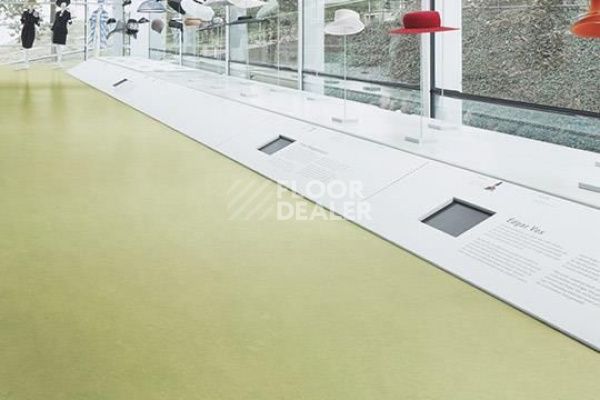 Линолеум Marmoleum Decibel on Order 326535 avocado фото 1 | FLOORDEALER